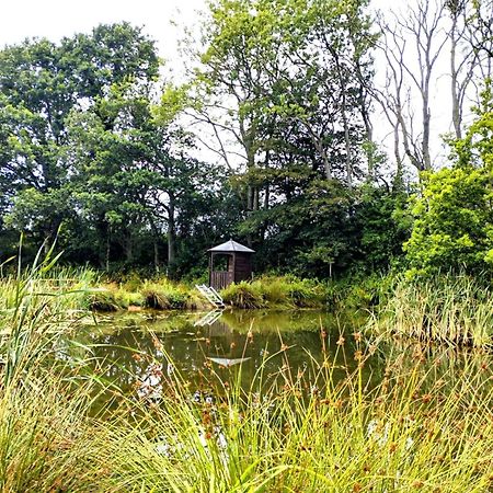 Luxury Lakeview ensuite Shepherds Hut 'Tench' Hadlow Down Buitenkant foto