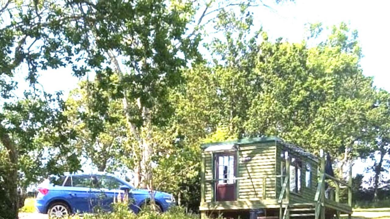 Luxury Lakeview ensuite Shepherds Hut 'Tench' Hadlow Down Buitenkant foto